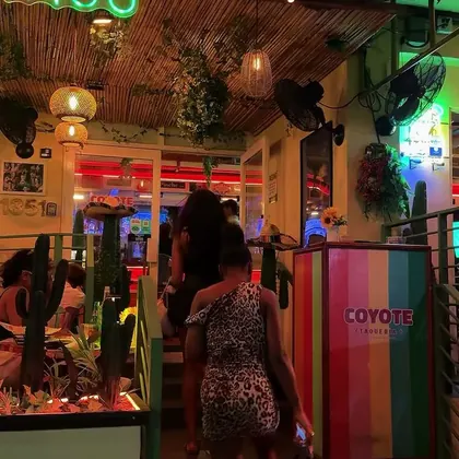 Coyote Taqueria, business photo 3