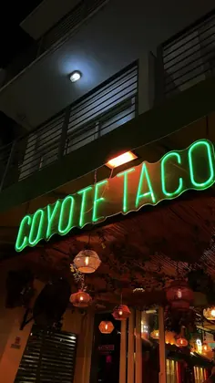 Coyote Taqueria, business photo 4