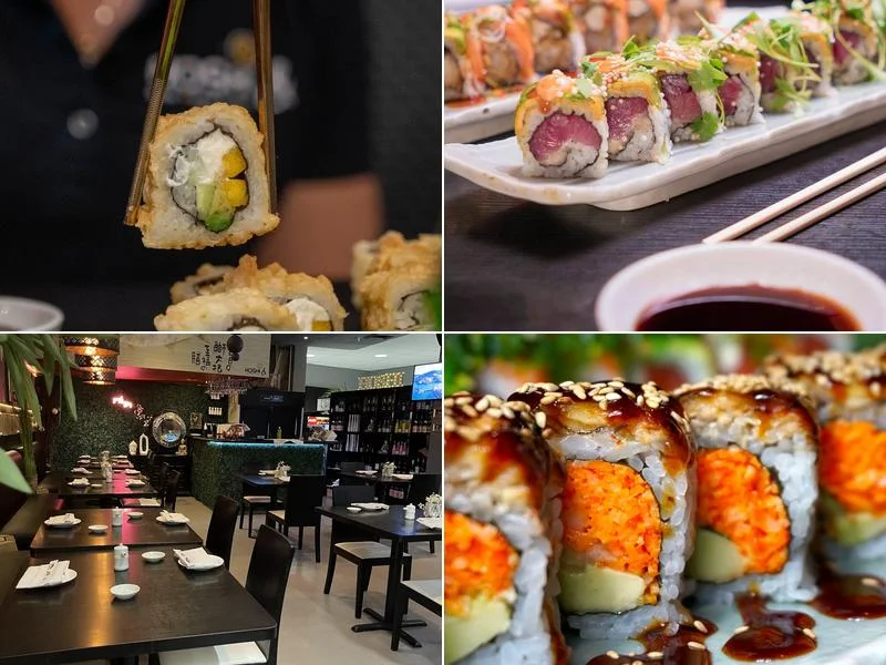 Hoshi & Sushi Asian Cuisine business photo