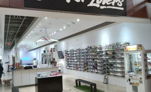 Sneaker Lovers business photo