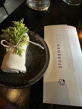 Stubborn Seed - Miami Beach, business photo 4