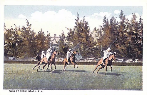 Florida - Polo at Miami Beach